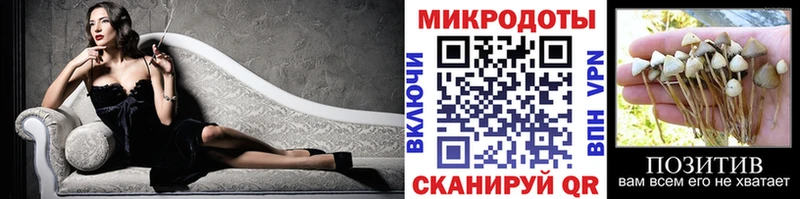 Галлюциногенные грибы Psilocybe  Власиха 